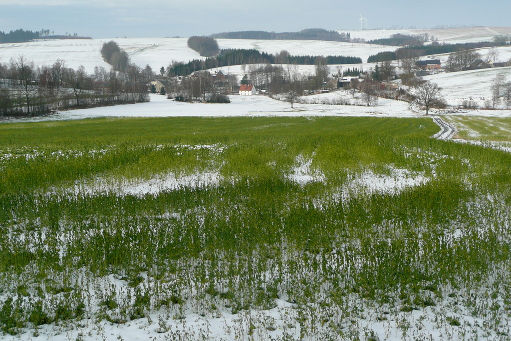 Im Erzgebirge