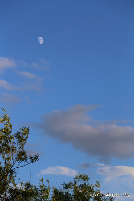 Afternoon Blue Skies with Moon