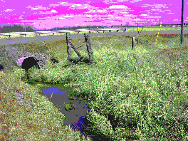 Le ruisseau Lochiel / Lochiel stream - Ontario, CANADA - 4 avril 2010- Postérisation RVB