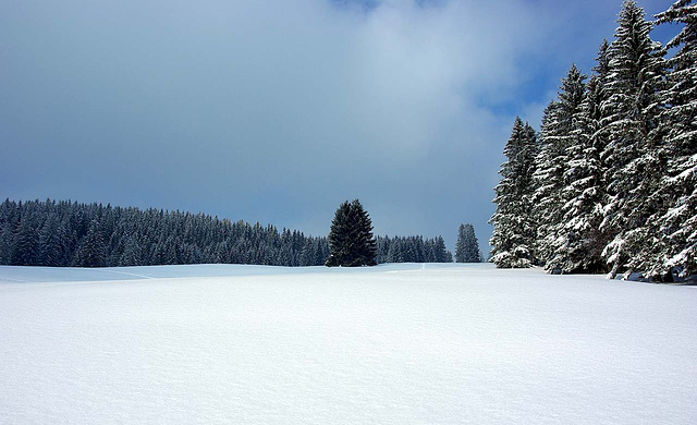 Oberallgäu