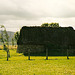 Schottland - Culloden - Black House