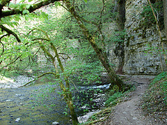 20070426 0242DSCw [D~FR] Wutachschlucht bei Bachheim