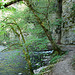 20070426 0242DSCw [D~FR] Wutachschlucht bei Bachheim