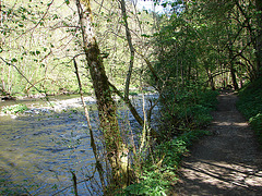 20070426 0243DSCw [D~FR] Wutachschlucht bei Bachheim