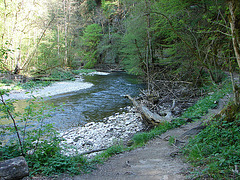 20070426 244DSCw [D~FR] Wutachschlucht bei Bachheim