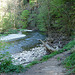 20070426 244DSCw [D~FR] Wutachschlucht bei Bachheim