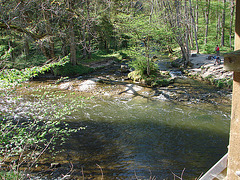 20070426 245DSCw [D~FR] Wutachschlucht bei Bachheim, Gauchach mündet in die Wutach