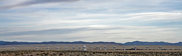 Very Large Array (5557)