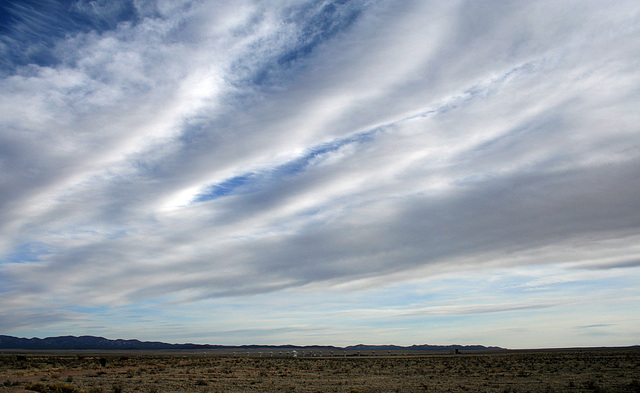 Very Large Array (5561)