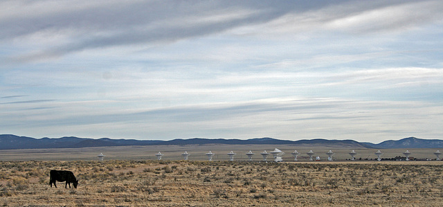 Very Large Array (5563)