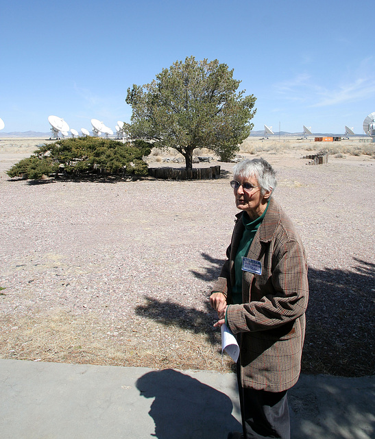 Very Large Array - Sue Simkin (5706)