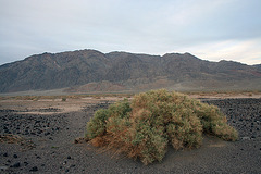 Death Valley (5061)