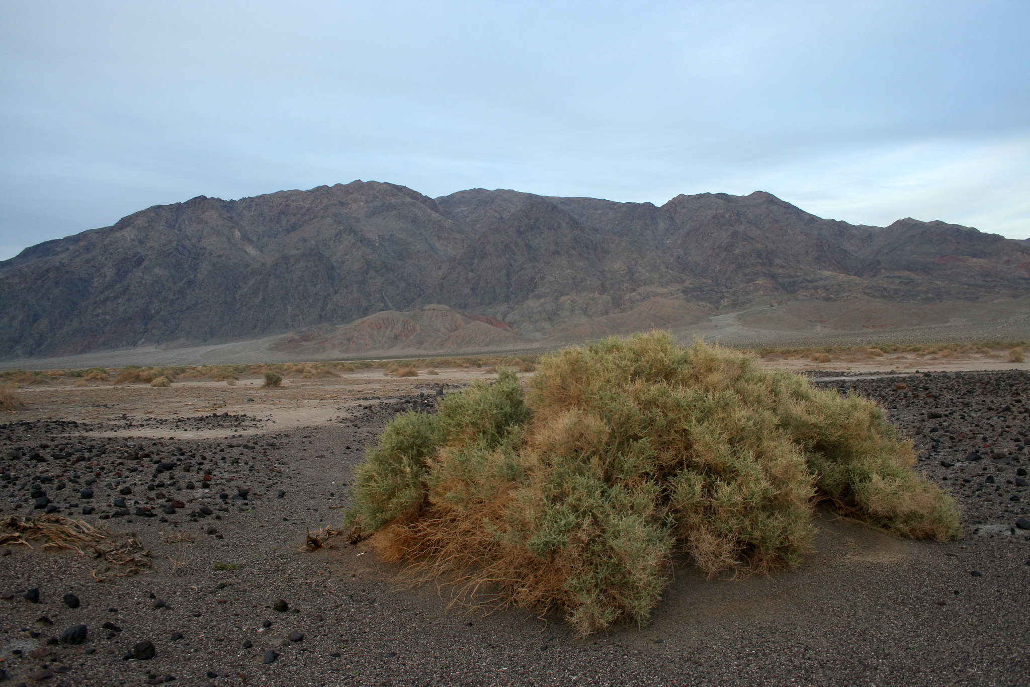 Death Valley (5062)