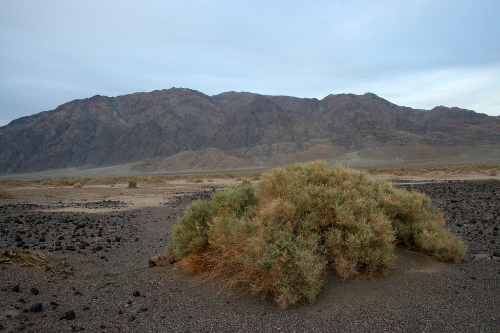 Death Valley (5062)