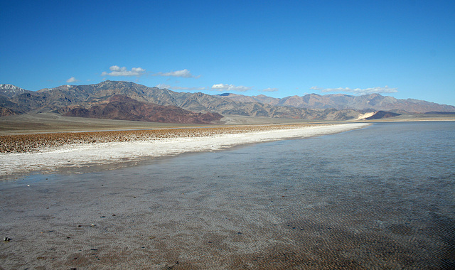 Lake Manly Death Valley (4347)