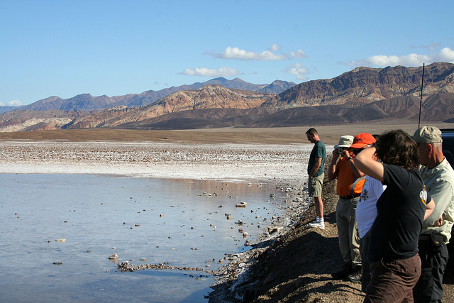 Lake Manly Death Valley (4351)