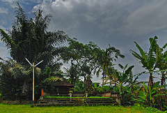 Beside the highway in Perean Tengha