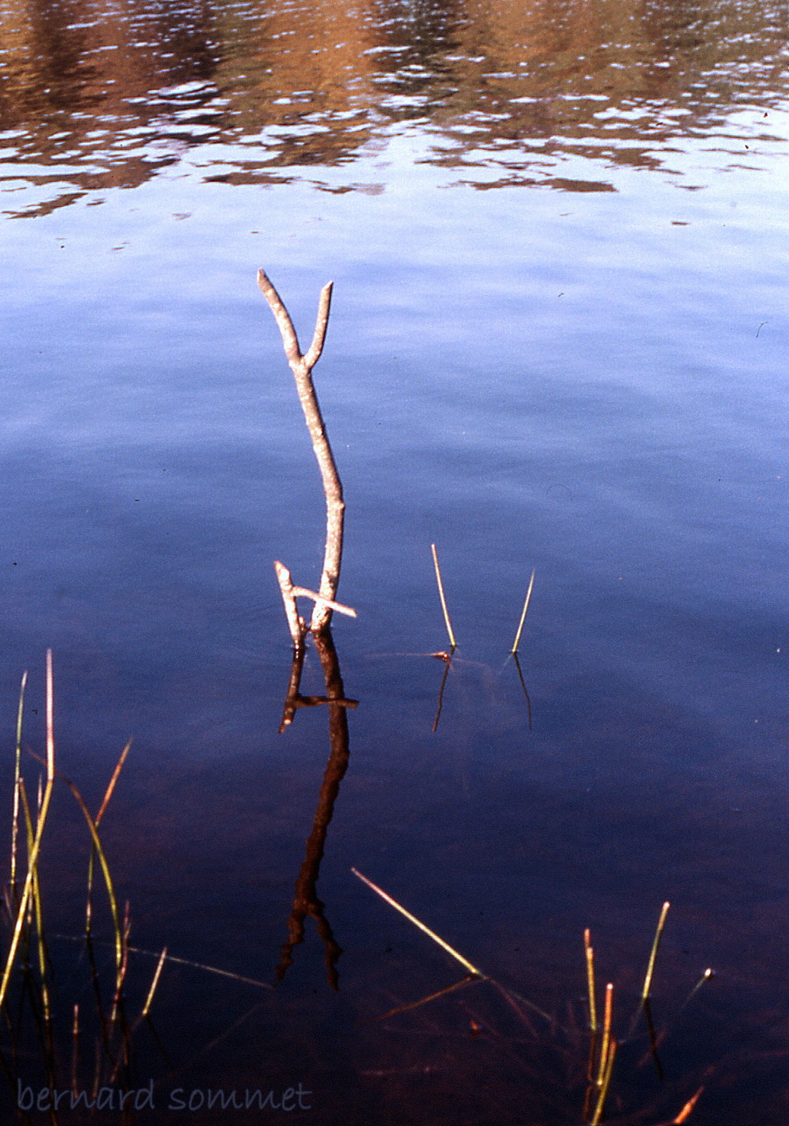 Miroir