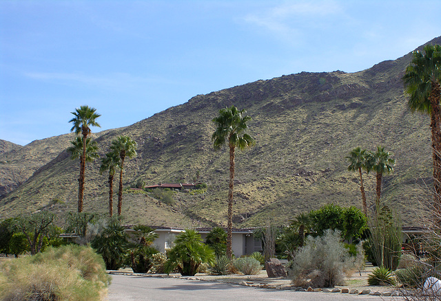 Mountains Behind Smoke Tree Ranch (8867)