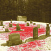 Union cemetery / Sepia et tâche de sang