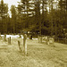 Union cemetery  / South Bolton. Québec, CANADA.  28 mars 2010- Sepia