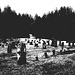 Union cemetery  / South Bolton. Québec, CANADA.  28 mars 2010 - Bichromie N & B