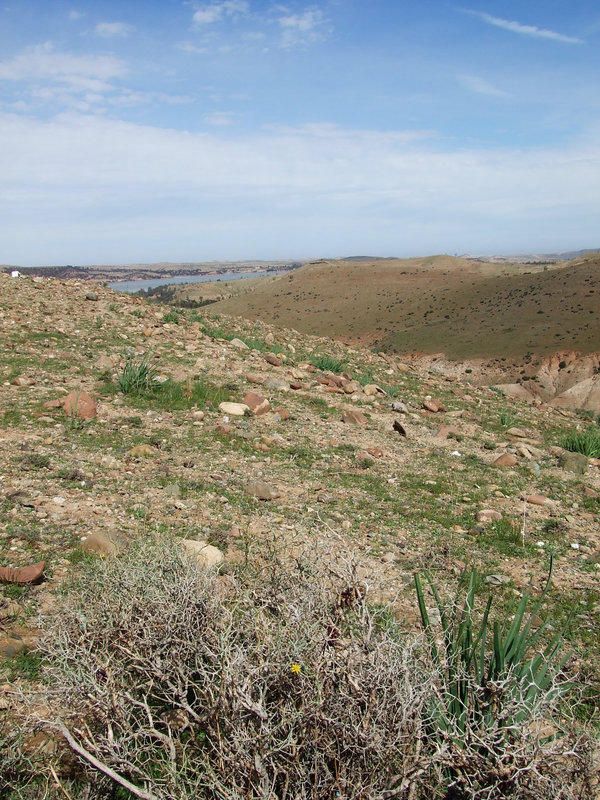 Maroc 154