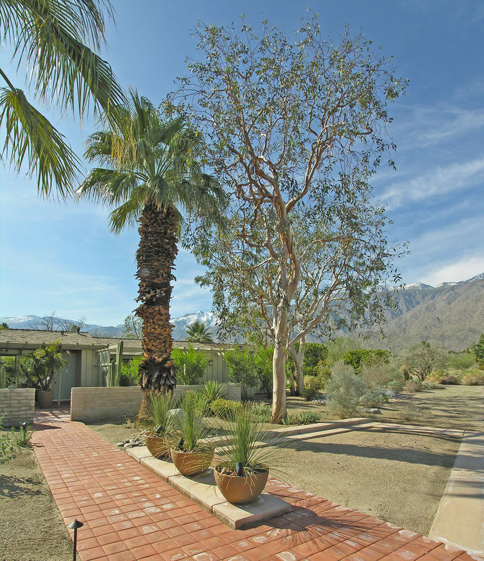 Smoke Tree Ranch (8831)