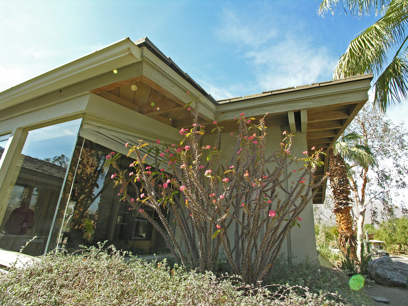 Smoke Tree Ranch (8834)