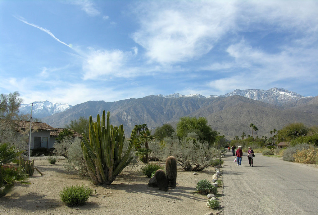 Smoke Tree Ranch (8864)