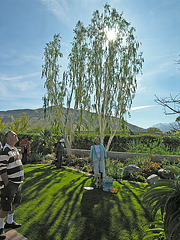 Smoke Tree Ranch Backyard (8840)