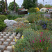 L.A. Garden Tour (6579)