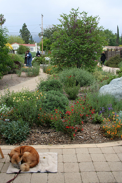 L.A. Garden Tour (6583)