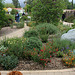 L.A. Garden Tour (6583)