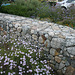L.A. Garden Tour (6598)
