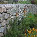 L.A. Garden Tour (6599)