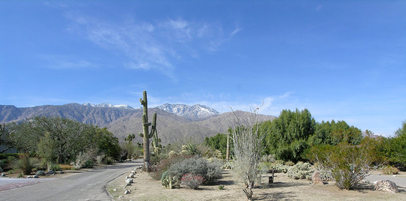 Smoke Tree Ranch Vista (8807) Smoke Tree Ranch Vista (8807)