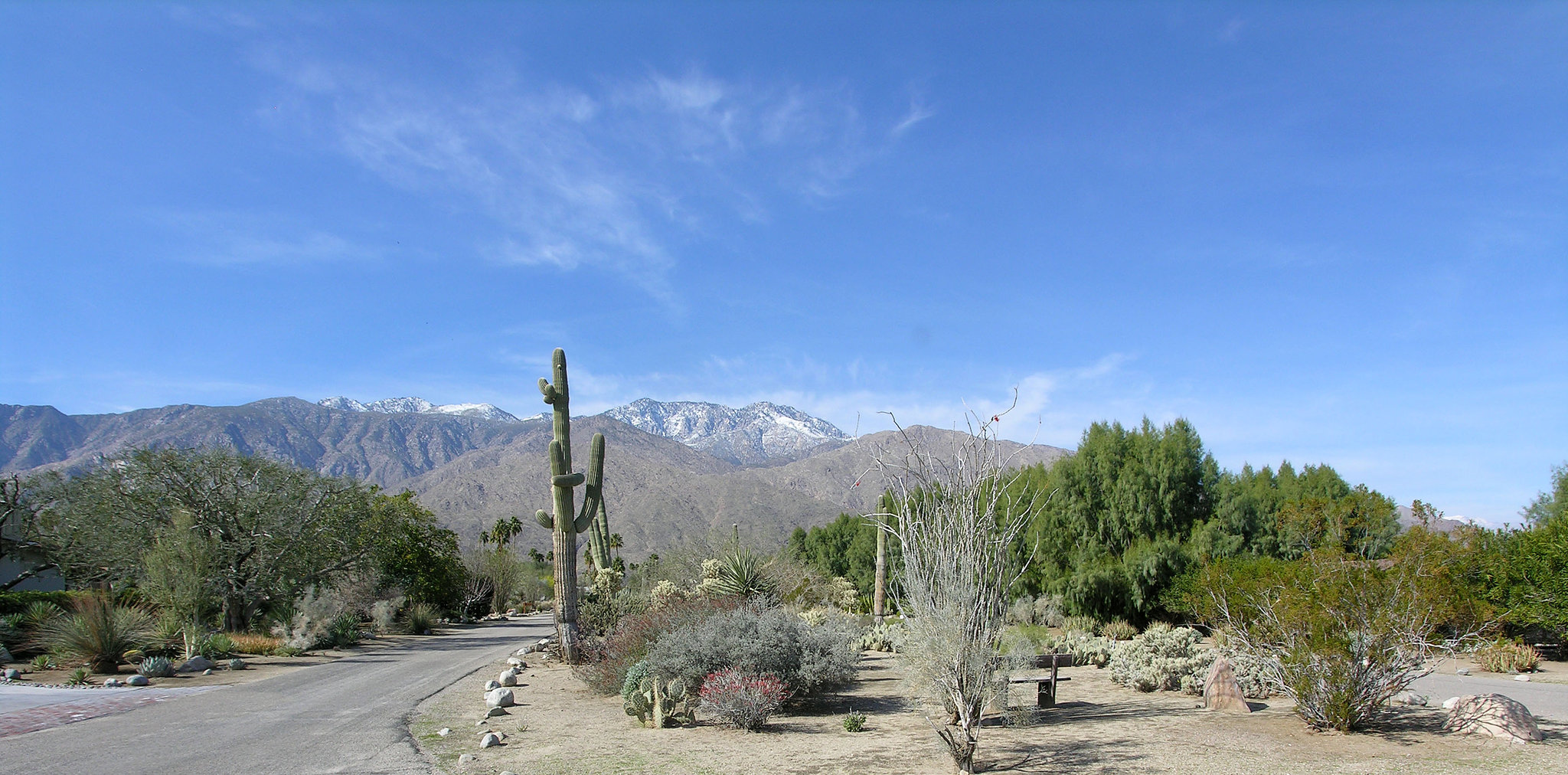 Smoke Tree Ranch Vista (8807)