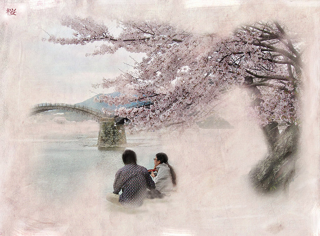 sakura