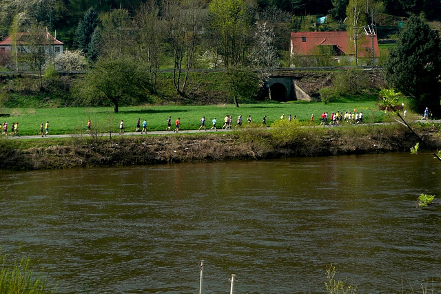 Oberer Elbtallauf