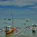 Outrigger boats at the Sanur beach