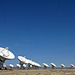 Very Large Array (5751)