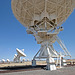 Very Large Array (5756)