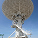 Very Large Array (5771)