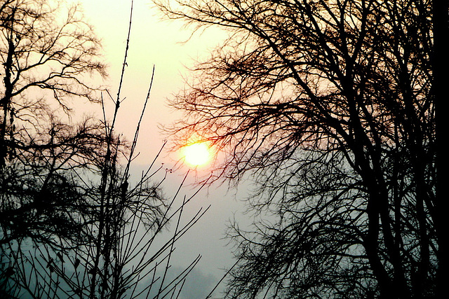 Sonnenaufgang bei -15°C am 27.Januar 2010