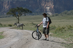 Zebra Crossing – Ha Ha!