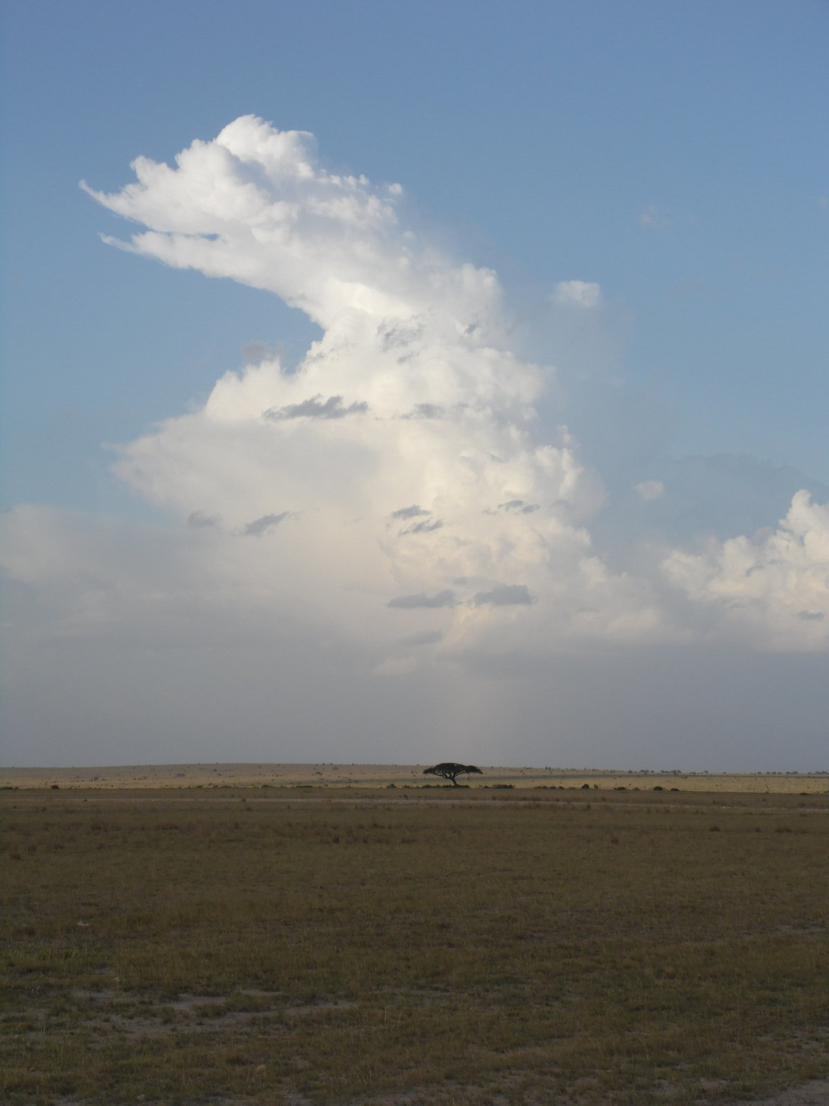 Amboseli