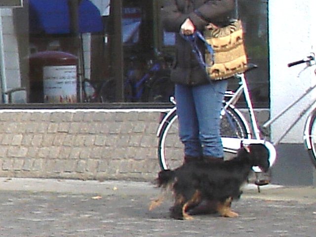 Handlesbanken booted swedish Lady with her dog /  La Dame bottée Handlesbanken avec son petit chien mignon -  Ängelholm / Suède - Sweden.   - 23-10-2008