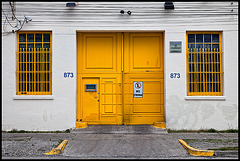 yellow door 873