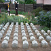 L.A. Garden Tour (6606)